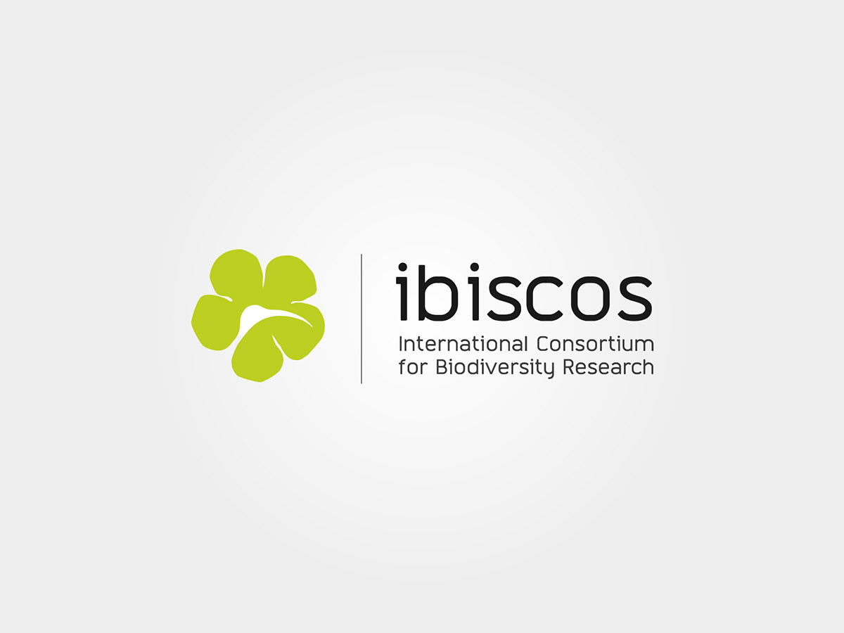 ibiscos Ibis hibiscus International International Consortirum for Biodiversity Research