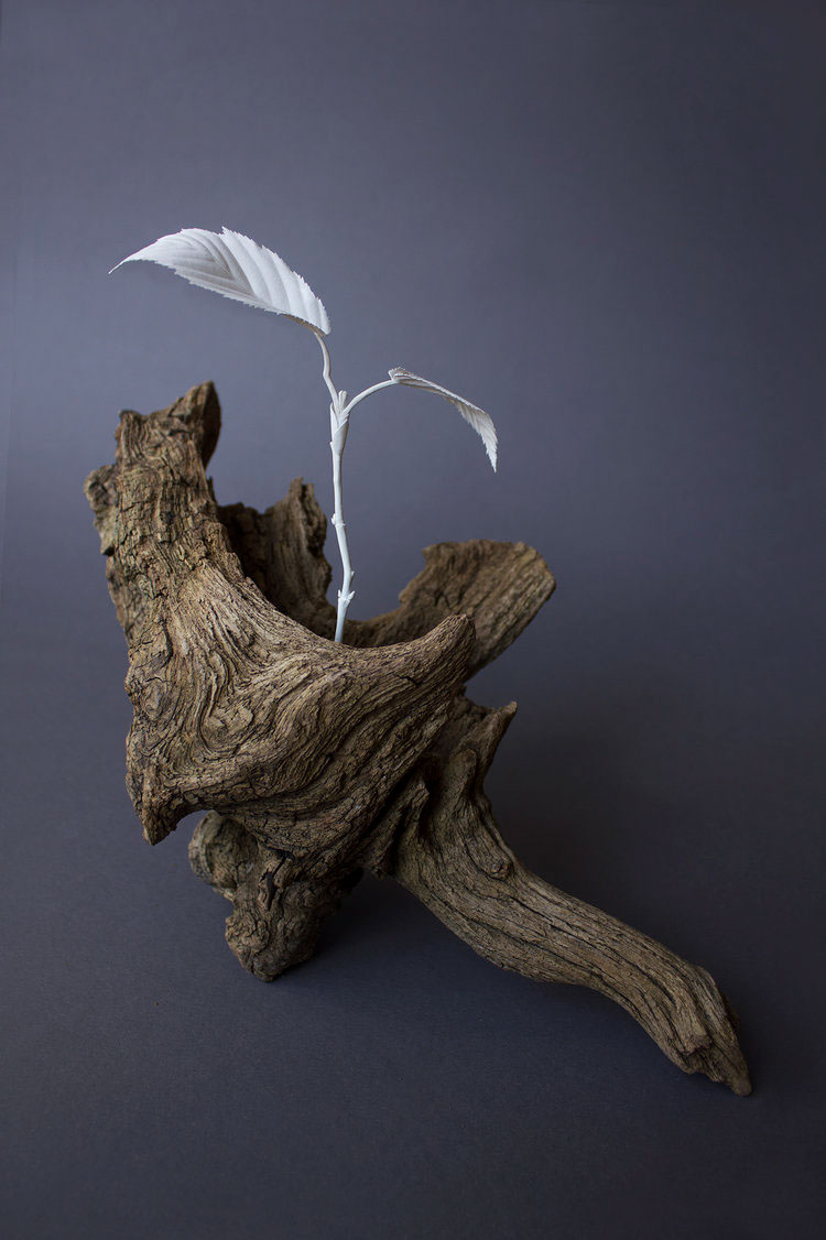 papercraft paper sculpture feather sprout sculpture