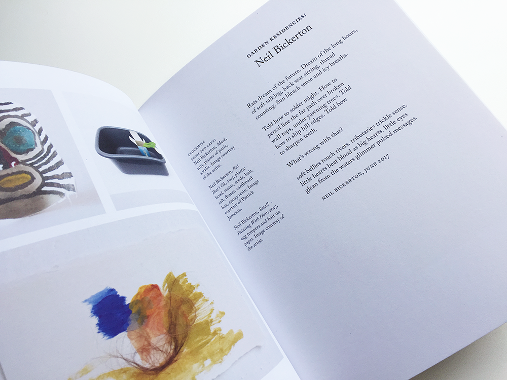 Adobe Portfolio book artist's book design book design Layout typography   artist print publication Catalogue