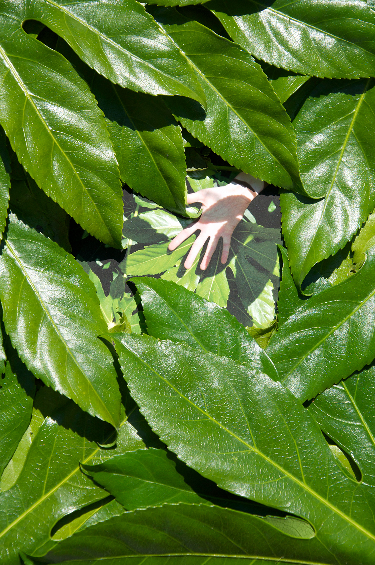 self portrait Nature mixed media framing environment color SCAD foliage