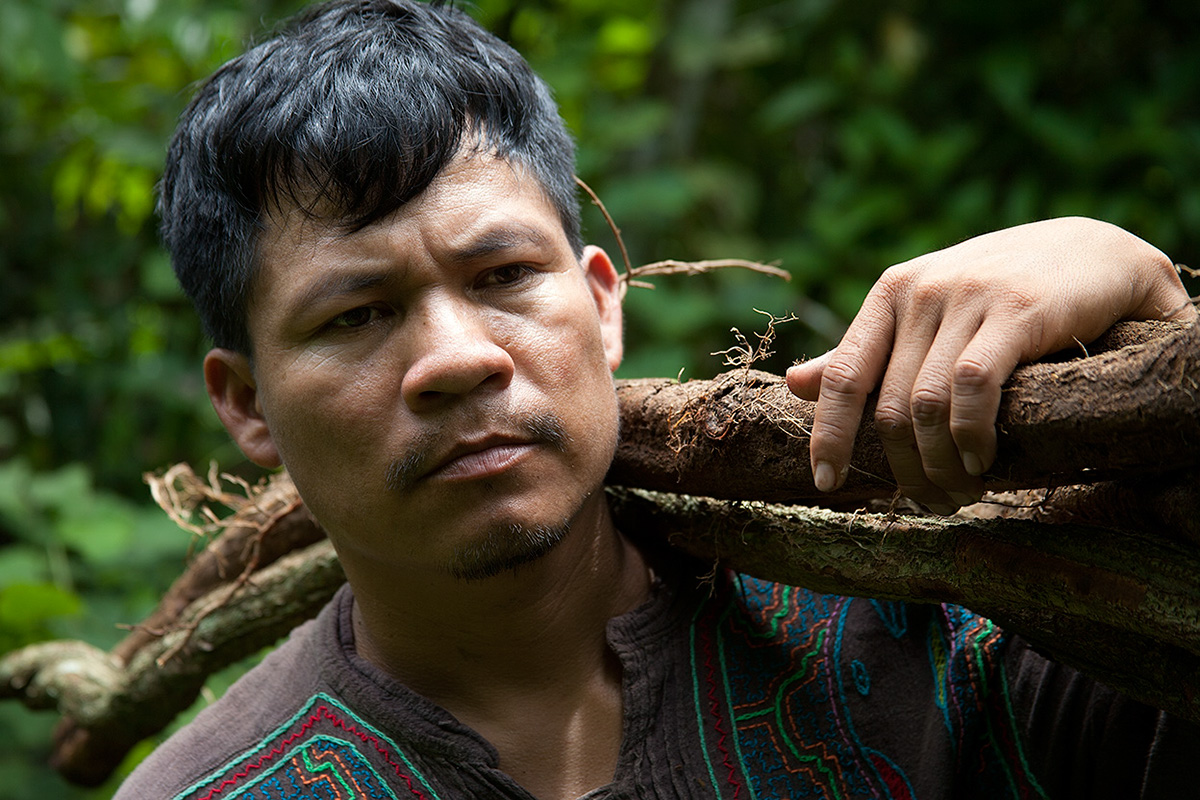 Adobe Portfolio Amazon ayahuasca icaros shipibo indigenous spiritual meditation shamanism