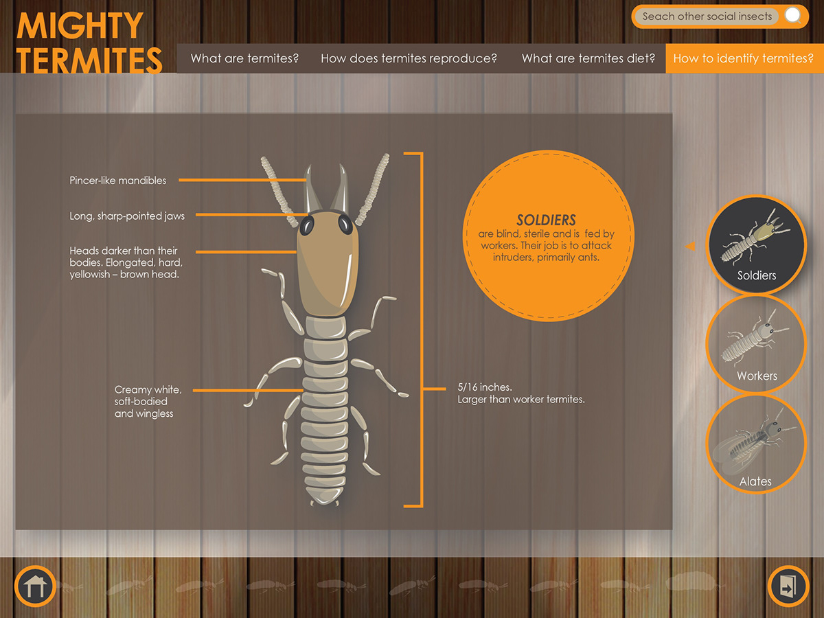 interactive app iPad bees Insects educational Education apple