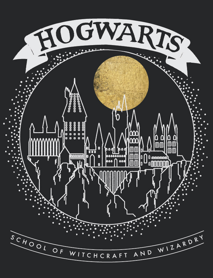 product design  harry potter Hogwarts Gryffindor licensing art Blanket Design hogwarts crest Licensing design production run