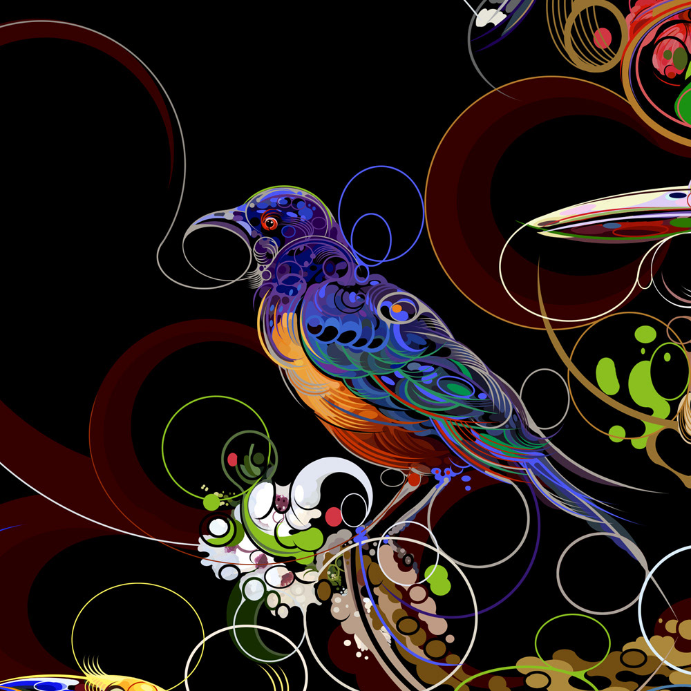 artists barrocco birds color