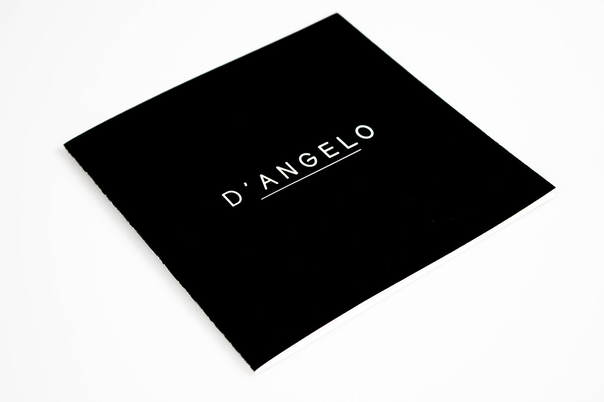 D'Angleo music Album Photography  R&B Soul Music branding  typography  