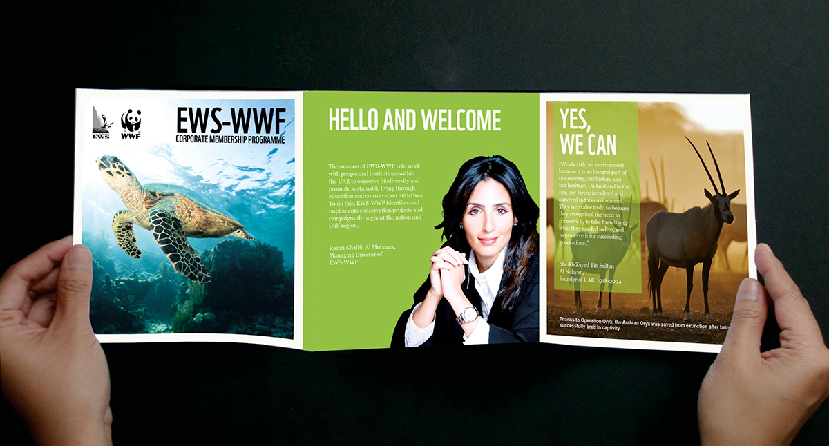 EWS WWF poster brochure sleeve fold