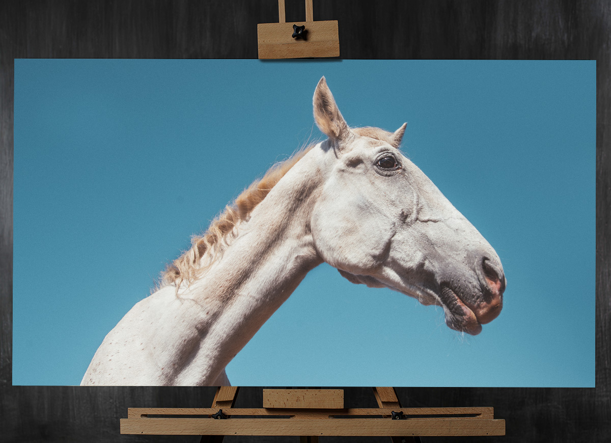 pettrophy matejjuhar print art CGI horse