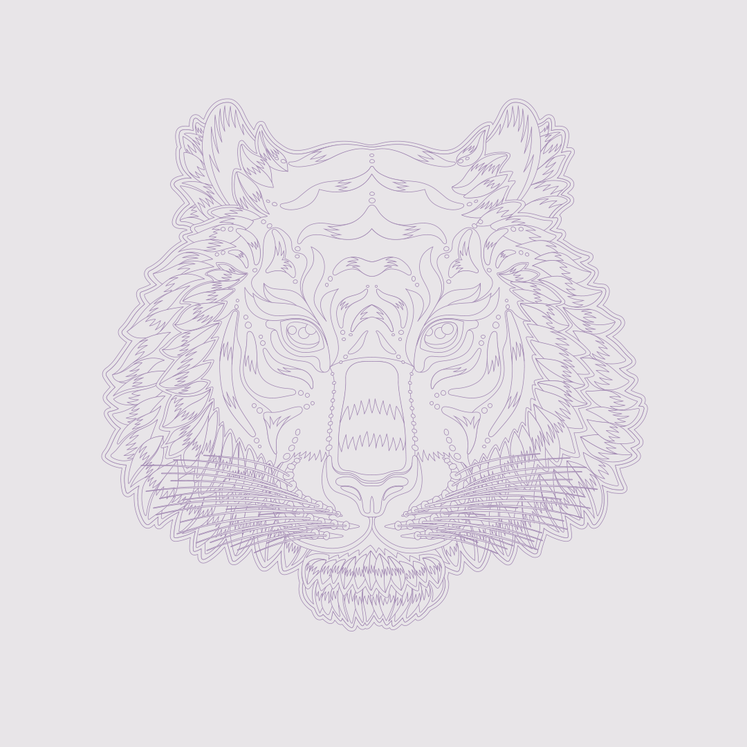 A tiger head in vector outlines