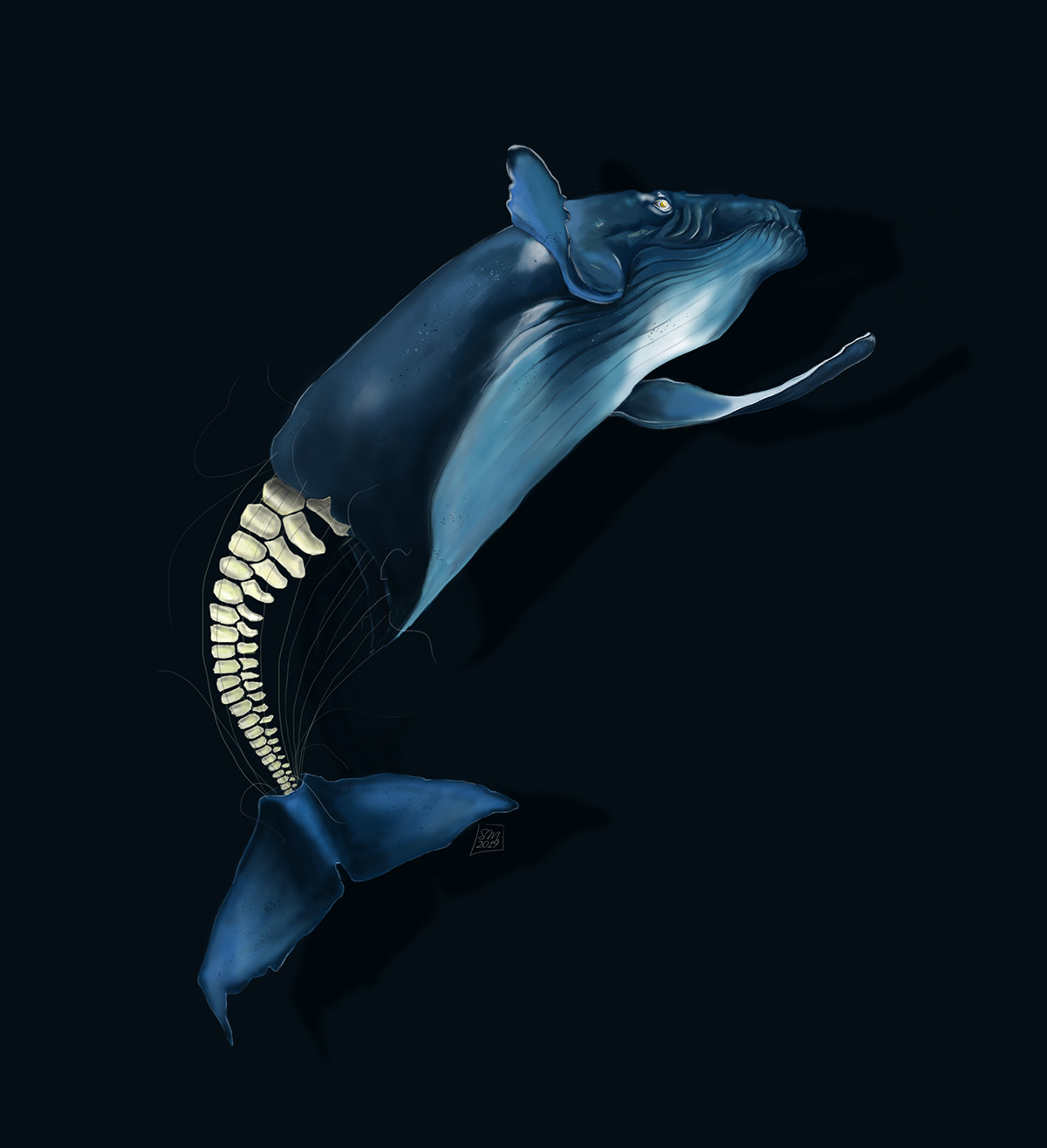 illutration draw digitalart dijitalpainting Whale