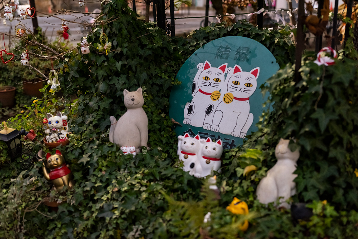 Imado Shrine japan landscape photography Photography  今戸神社 Cat Shrine