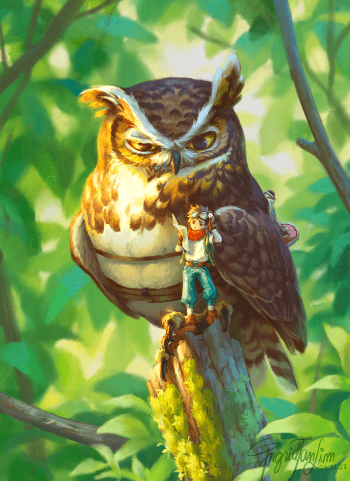 owl adventure fantasy forest Nature digital Procreate boy Pilot lost