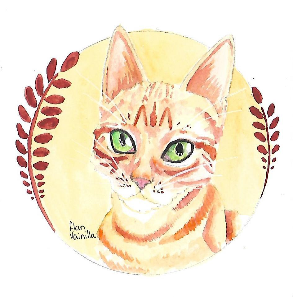 acuarelas Cat ILLUSTRATION  ilustracion mascotas pets watercolor