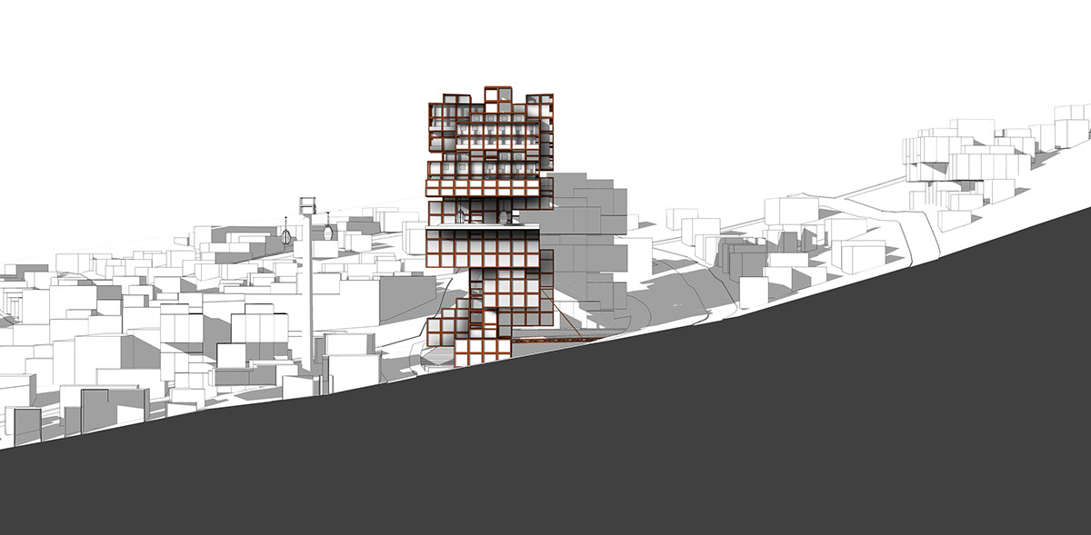Emergence in Architecture Computational Design Asendamientos de Medellin