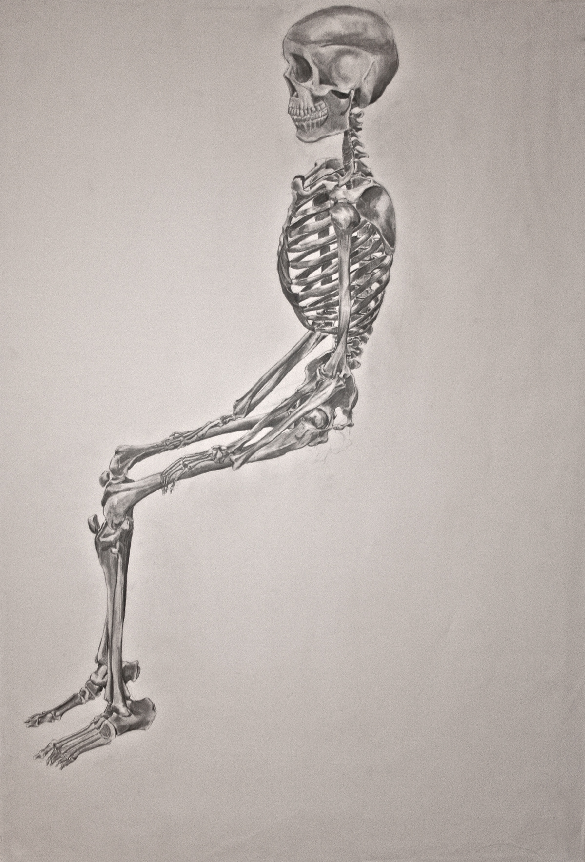 sova virginia tech life drawing Model Sessions Student work Graphite Drawings anatomy skeletons muscles no sleep