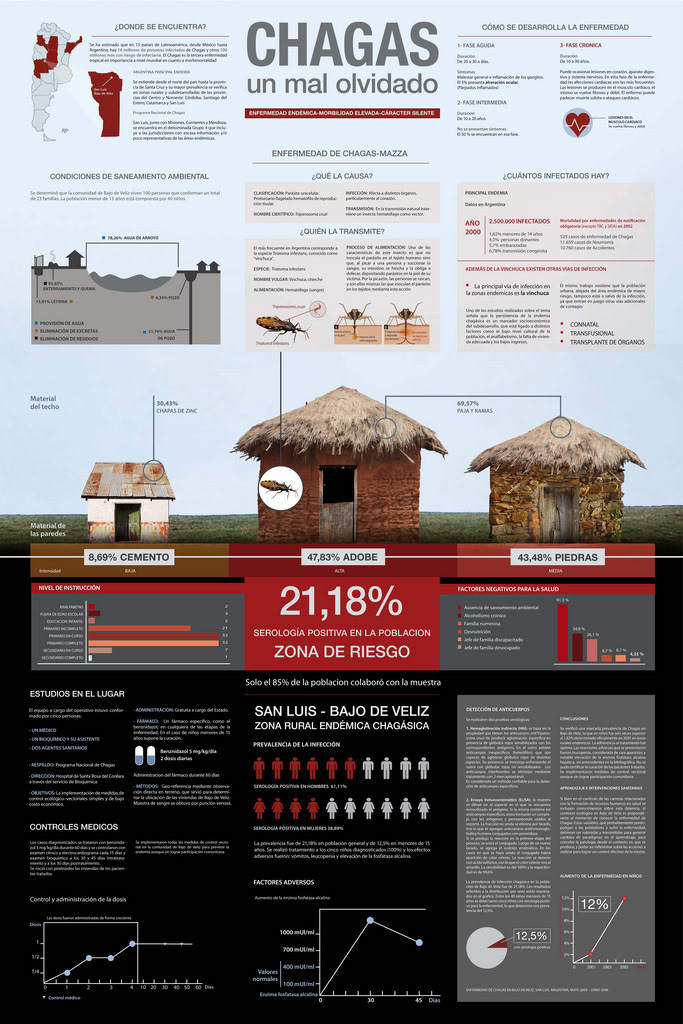 poster infografico  infografia design typography type infographic design  infographic chagas  romina vespasiano mal de chagas