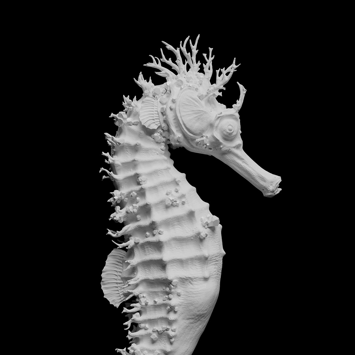 Zbrush 3D minimal Minimalism sculpture seahorse sea