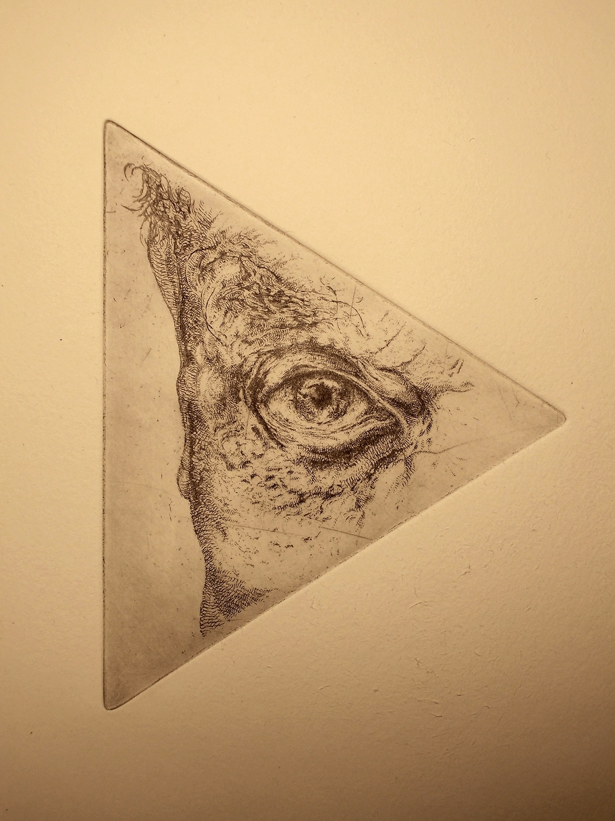 etching aquatint aquaforte eye blind black and white triangle geometric bird Tree  scream starling