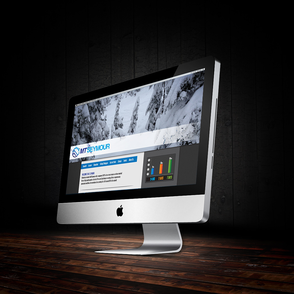 Mt Seymour Snowboarding logo app Interface Website iphone Rebrand