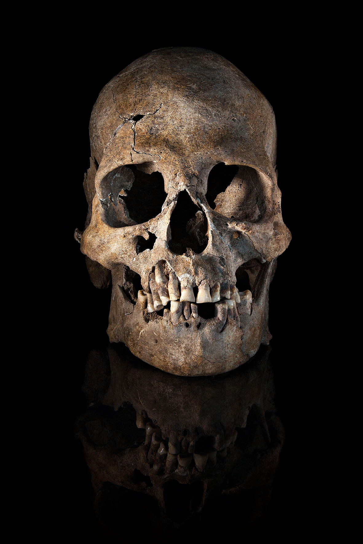 photoshop arqueologia Arqueology skull crânios