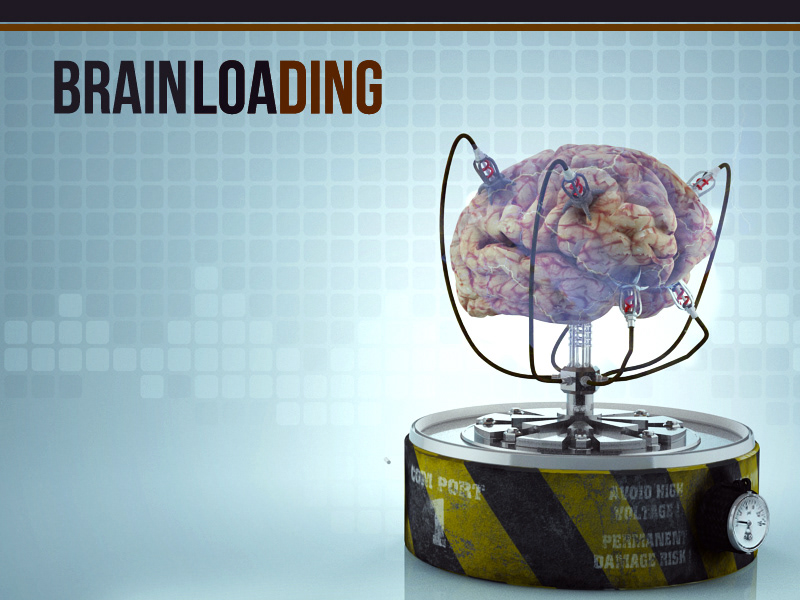 brain 3d max