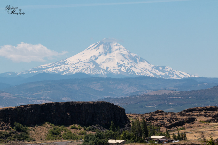 View of Mt. Hood from Horse Thief Butte