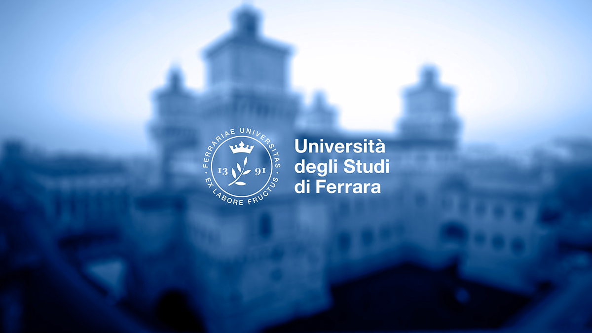 branding  brand Rebrand graphic identity ferrara University università pattern city