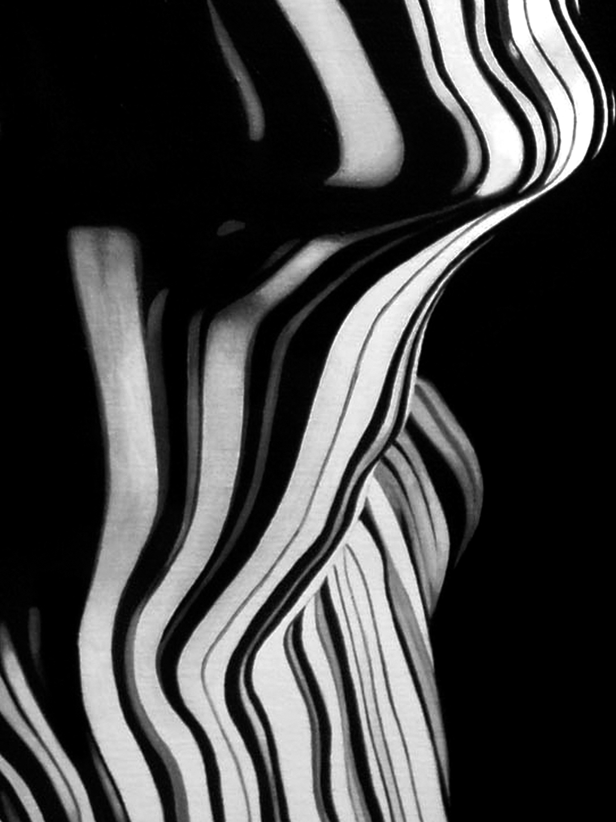 falling star black White grey black and white portrait stripes stripe line stars