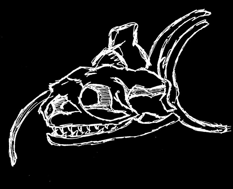 Vida Muerte buho cuervo serpiente Gato AMAPOLA Crisantemo clavel chino