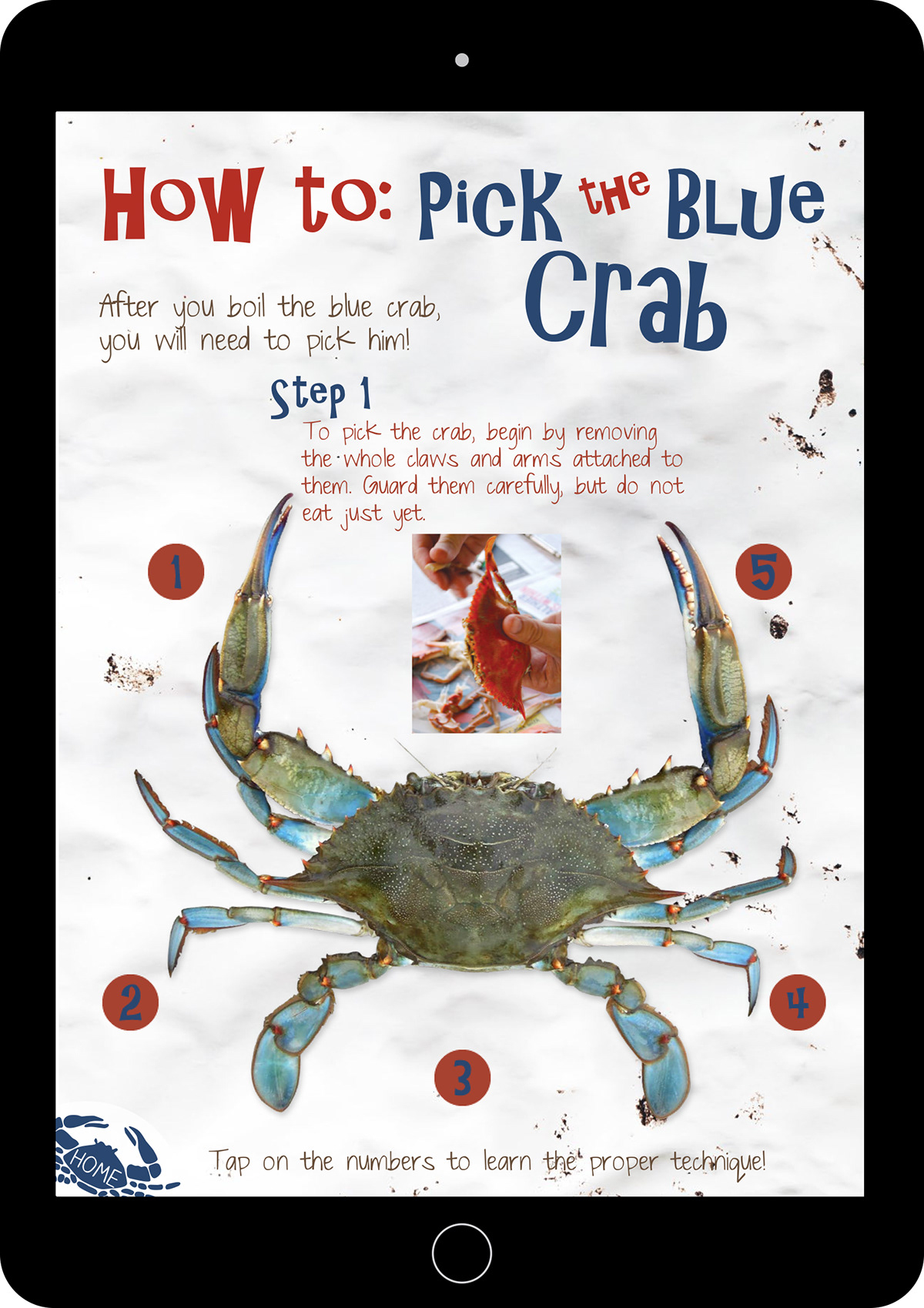 cookbook app interactive crab south Digital Publishing