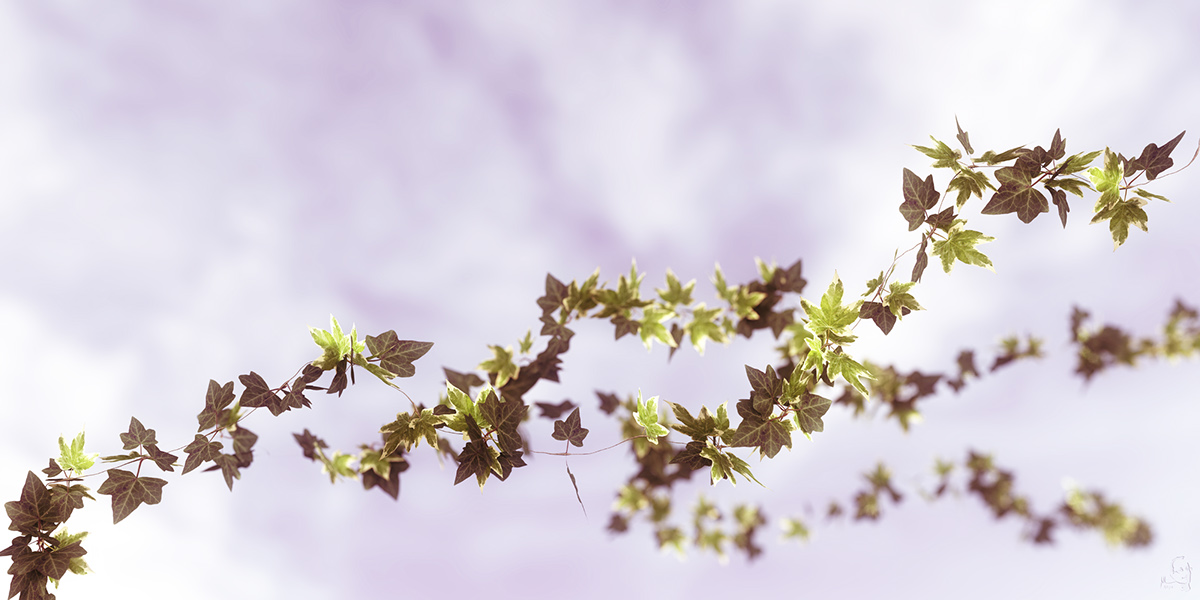 ivy vine stem leaves leaf photo realism photo realistic