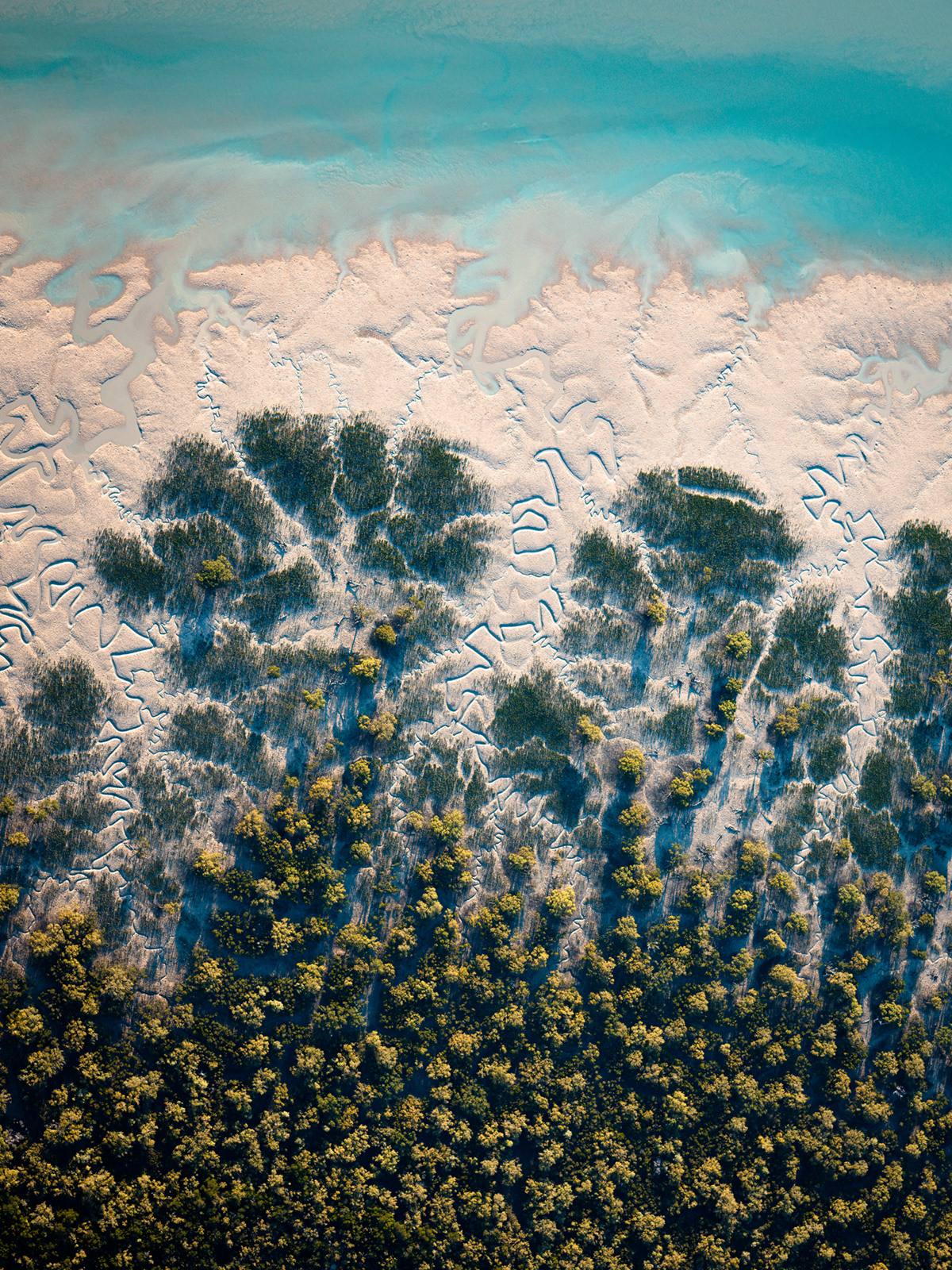 abstract Aerial Aerial Photography aerial view Island Landscape Nature Ocean Travel water
