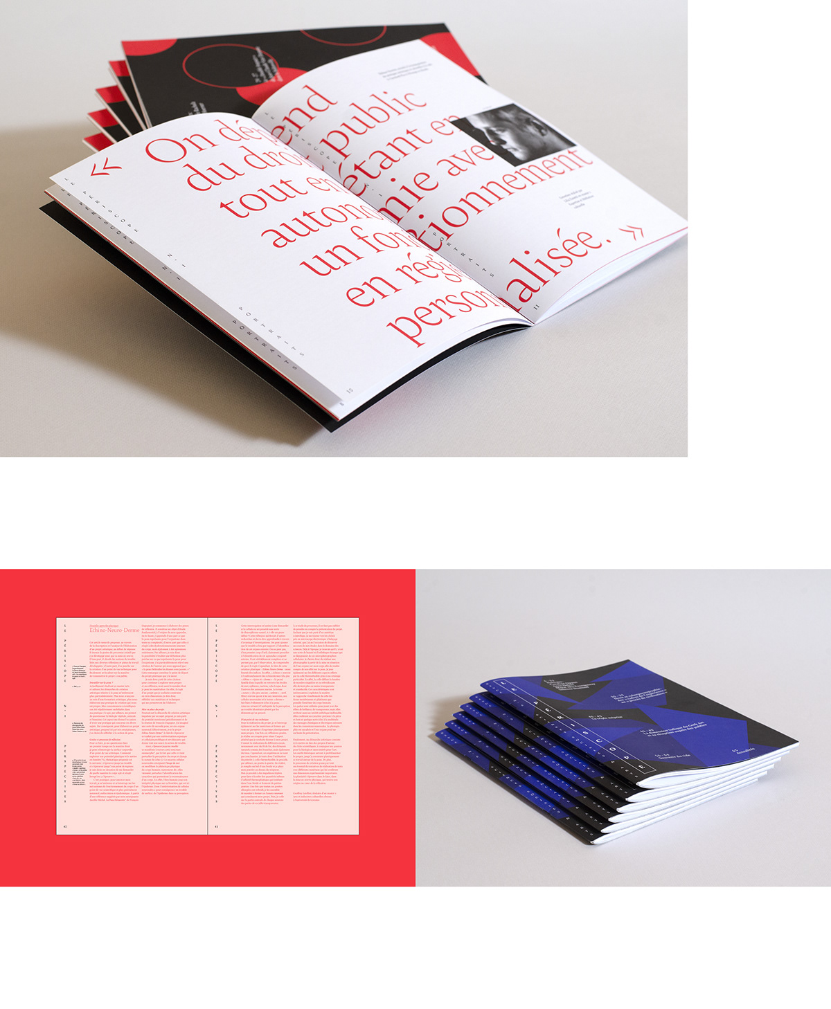 amster art book DUAL-TONE editorial design  graphic design  issue magazine revue typography  