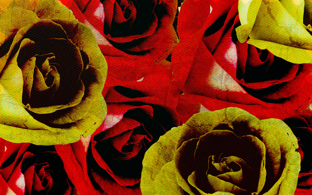 Flowers Photo Manipulation 