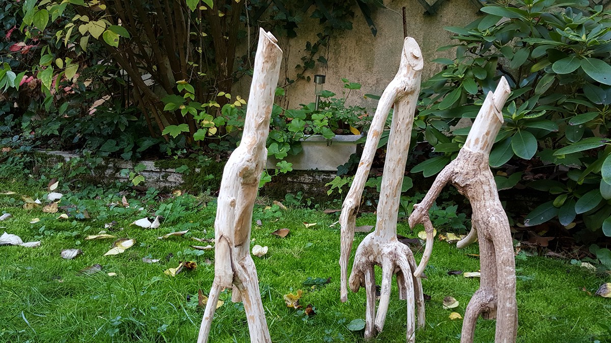 sculpture bois Nature