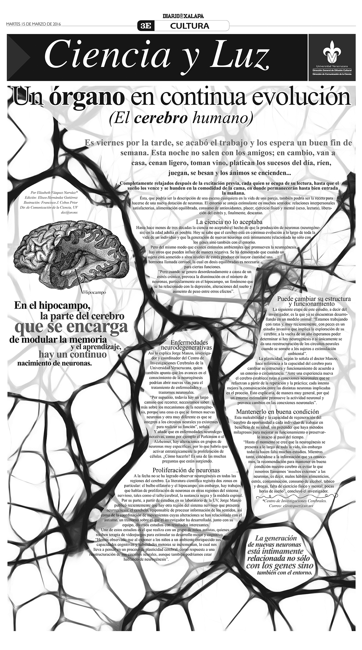 Diseño editorial diseño gráfico divulgación de la ciencia divulgacion cientifica Periodismo veracruz mexico xalapa