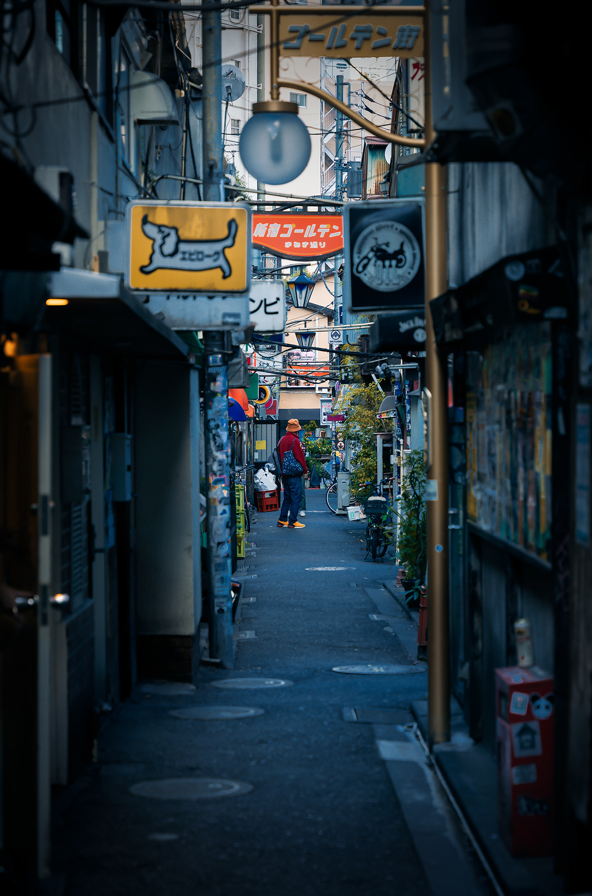 Street city Urban street photography Travel japan blue DUSK night dark