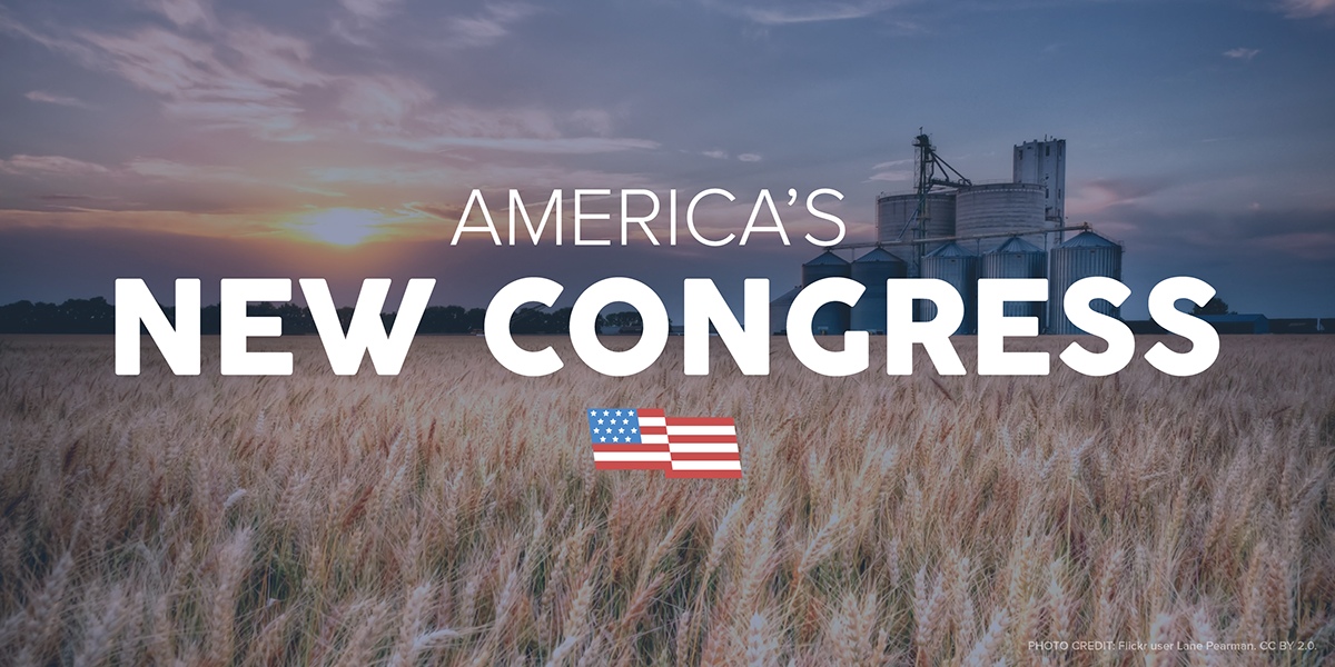 America's New Congress america congress vector american flag flag 114th Congress