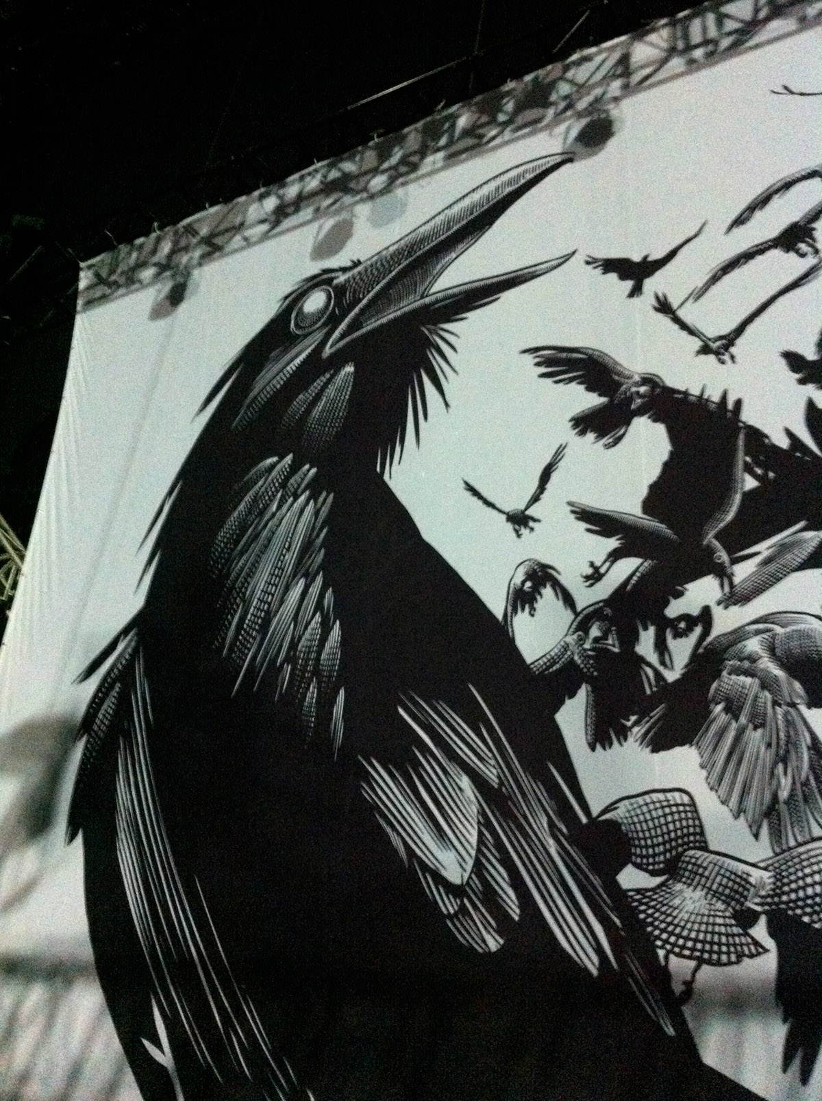 crowes crow concert punk rock egraving crosshatching ink tinta grabado cuervos concierto escenografia