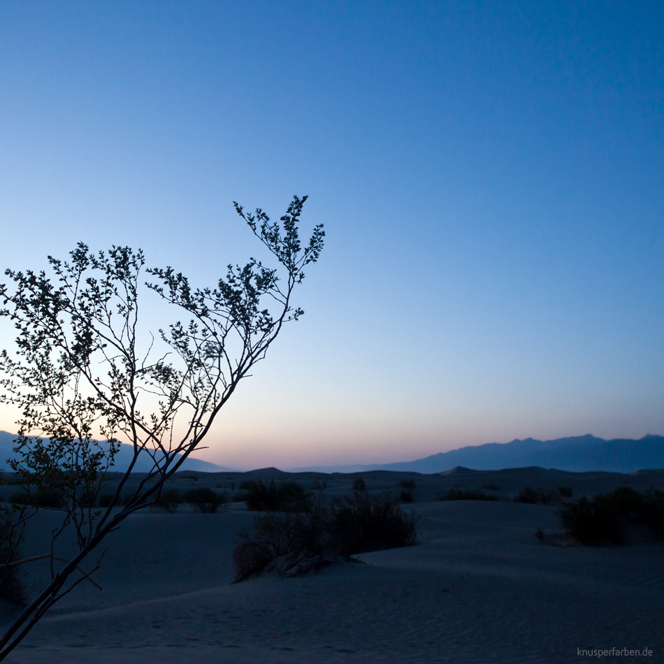 desert  Death Valley  tanja deuss Knusperfarben