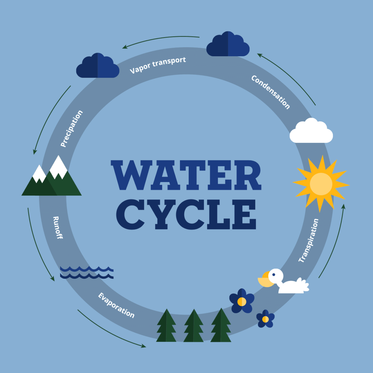 Water Cycle infograph animation on Behance
