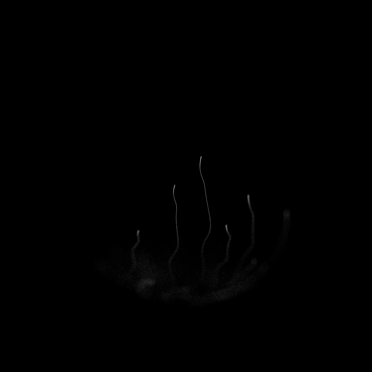 3D abstract black and white creative coding generative art houdini lines minimalist particles simulation