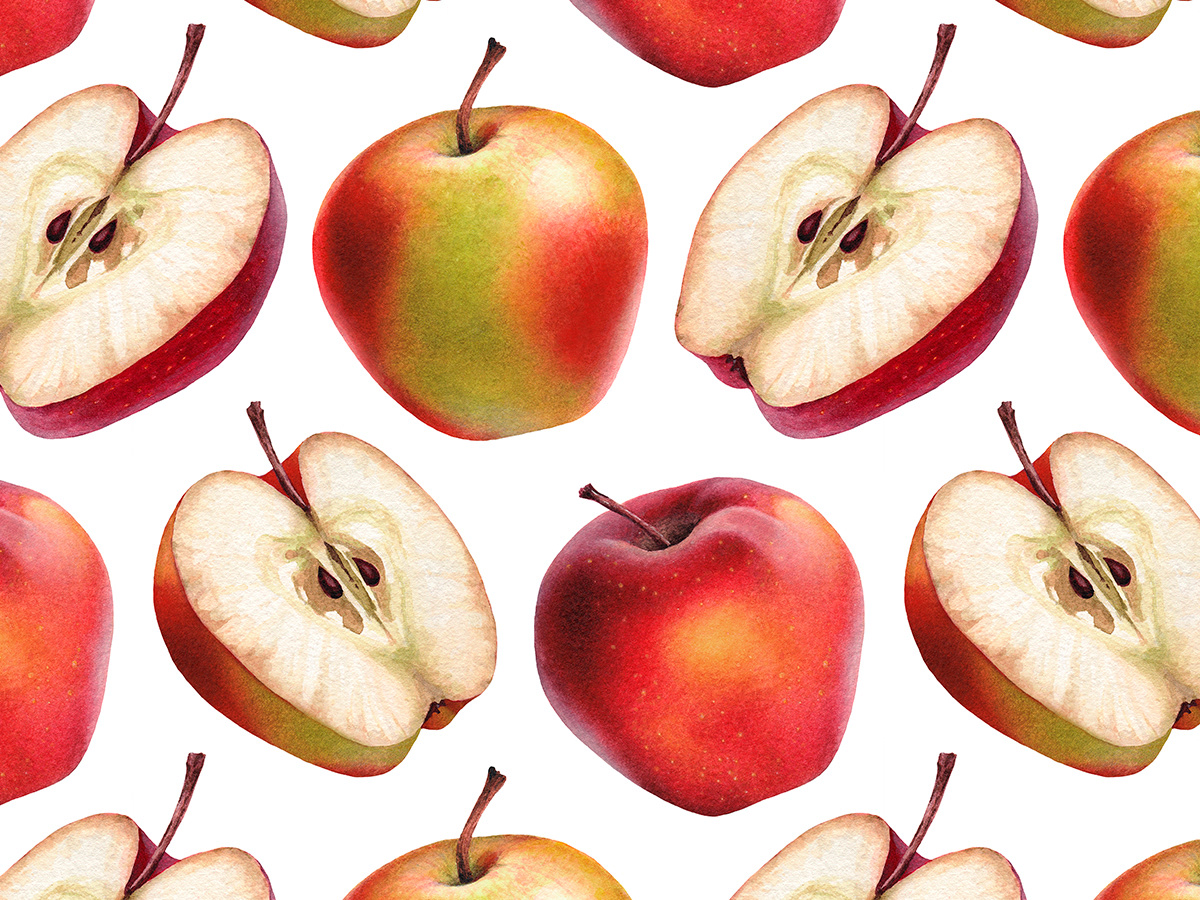 Pear apple Fruit ILLUSTRATION  print design pattern seamless Drawing  watercolor