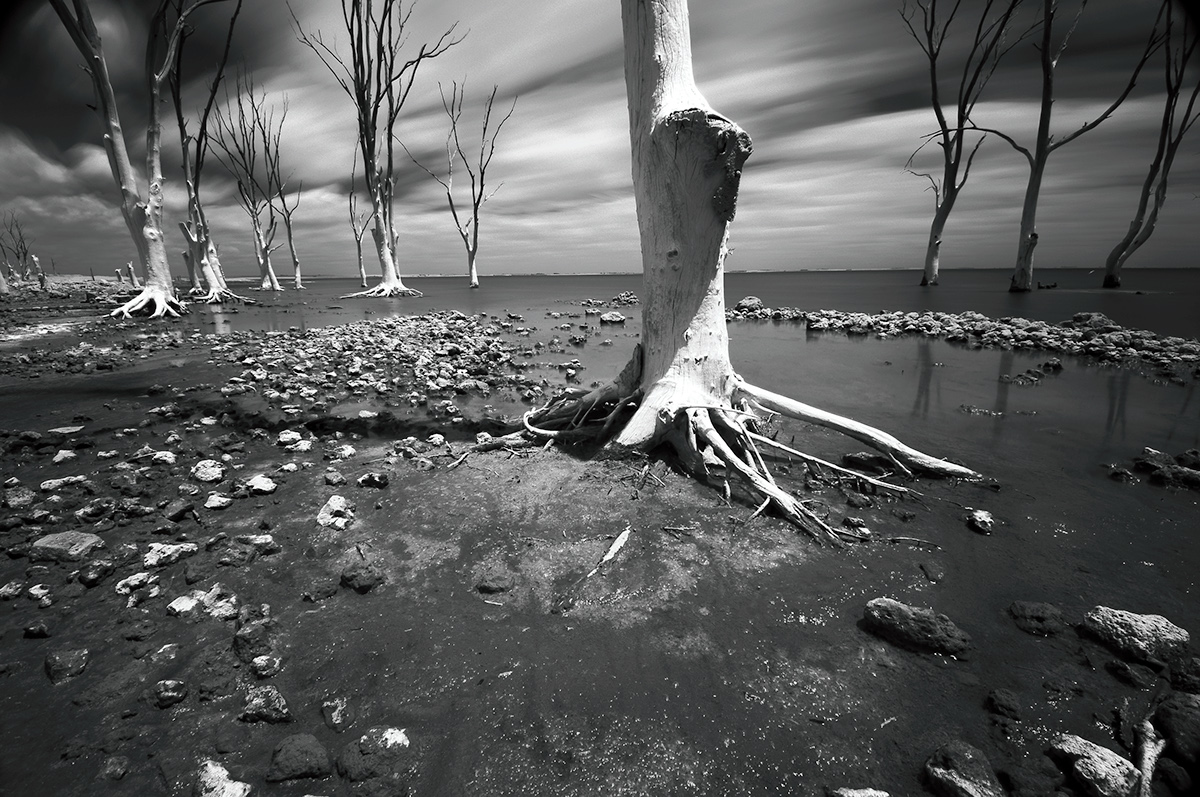 under water salt lake surreal trees bw argentina Carhue disaster atlantis dead trees apocalyptic buenos aires ghost town long exposure