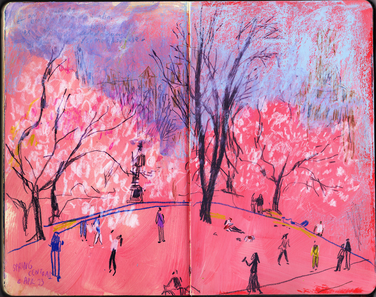 Central Park Cherry Blossom ILLUSTRATION  magnolia Manhattan New York plein air sketchbook spring trees
