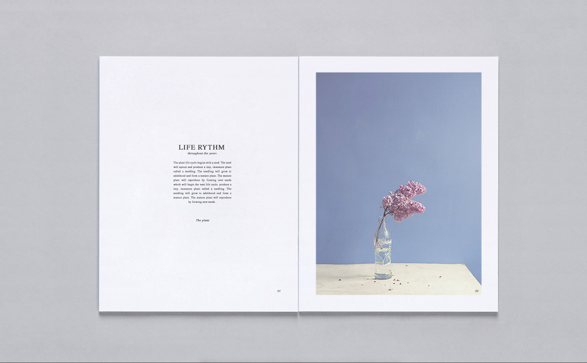 print Layout editorial publication design minimal clean graphic simple book magazine logo brand