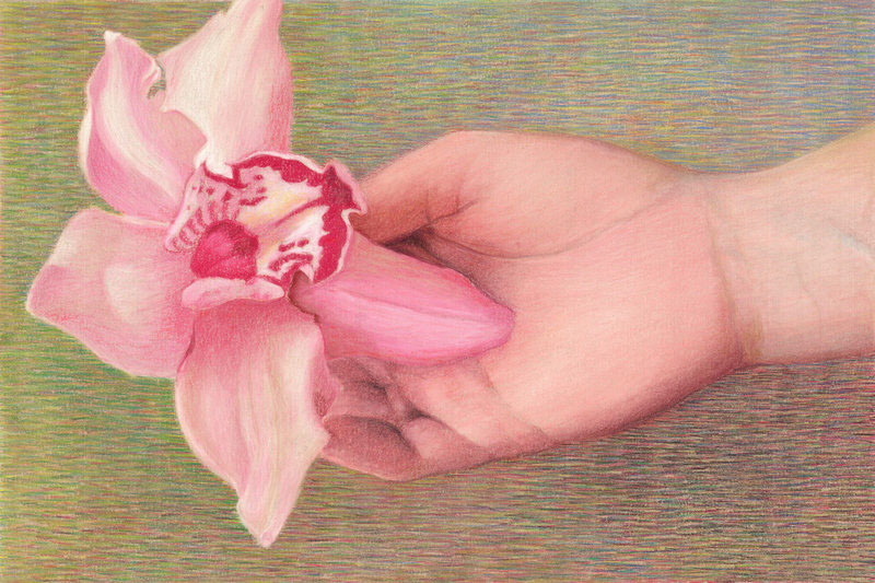 original pastel drawing Unique orchid hand Origin life forms realistic conceptual story earth