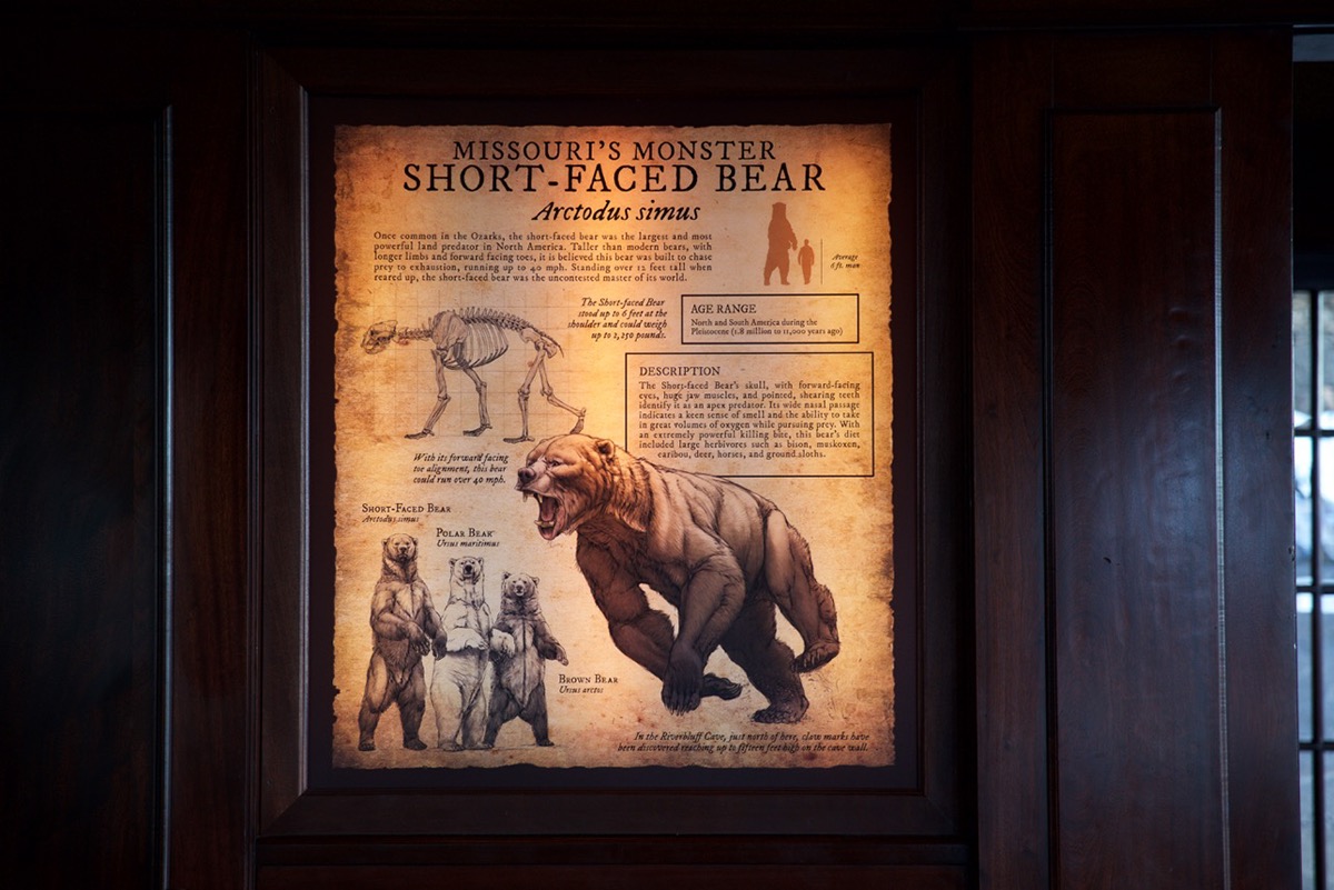natural history museum prehistoric animals wildlife paleoart informative educational woolly mammoth lion bear Arctodus