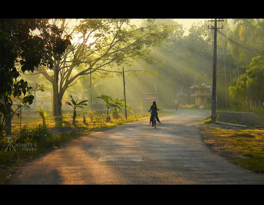 kerala god's own country green MORNING monkeys light