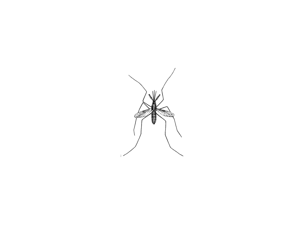 malaria infographic mosquito africa