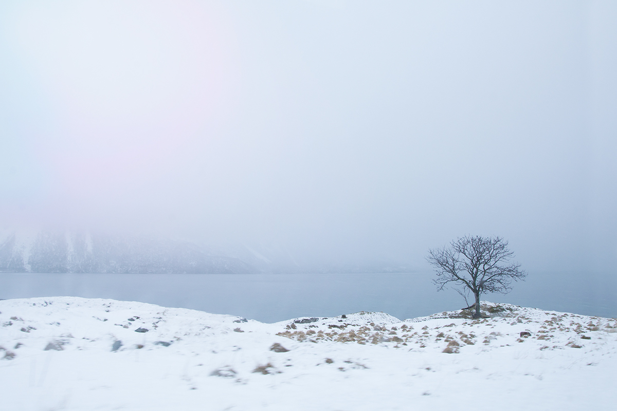 north winter atmoshere minimalistic snow atmosphere dreamy poetic